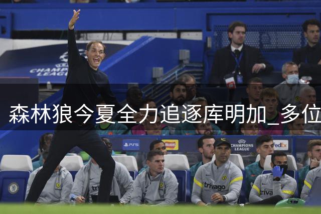 森林狼今夏全力追逐库明加 多位核心成员参与招募